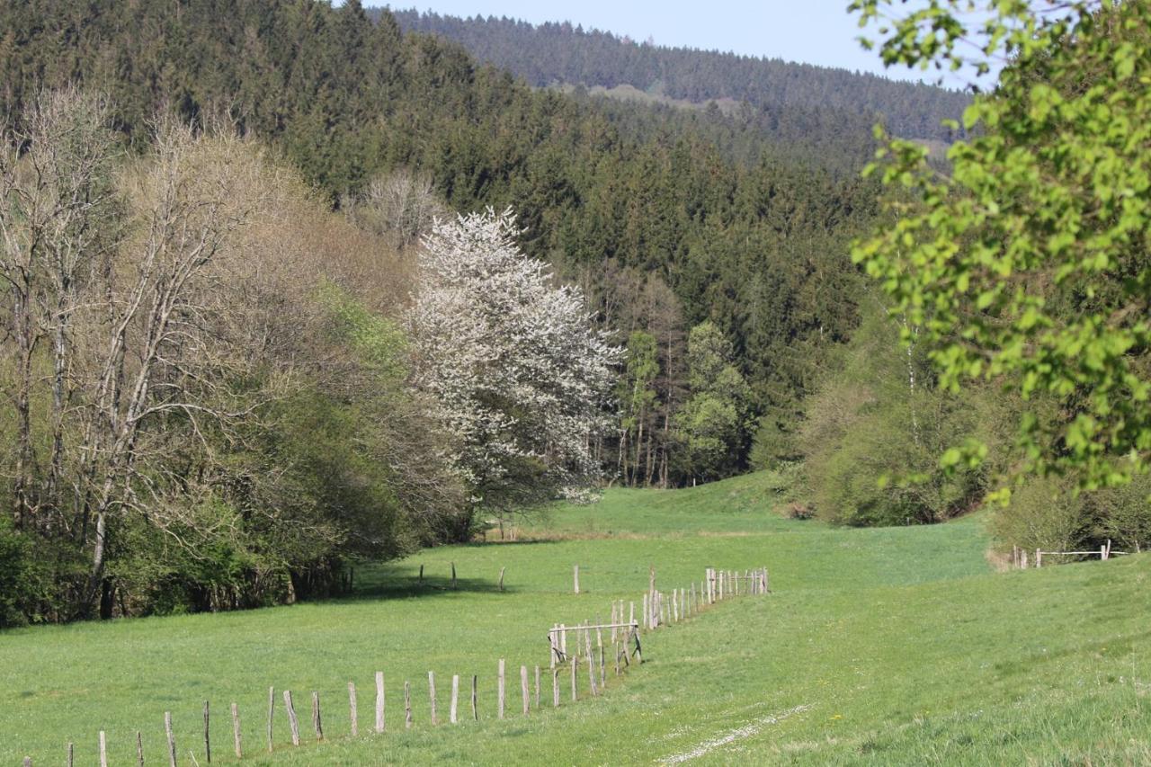 Le Clos Du Cerf - Silence & Nature Stoumont Εξωτερικό φωτογραφία